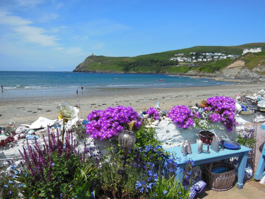 A view of Port Erin coastline showing some pretty flowers on a white stone wall, with Port Erin beach and shoreline in the background on a sunny day 