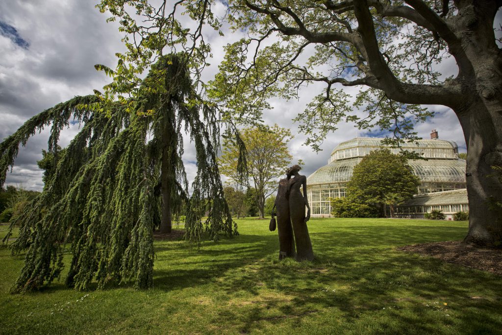 A statue sculpture next to a tree in the National Botanic Gardens of Ireland 
