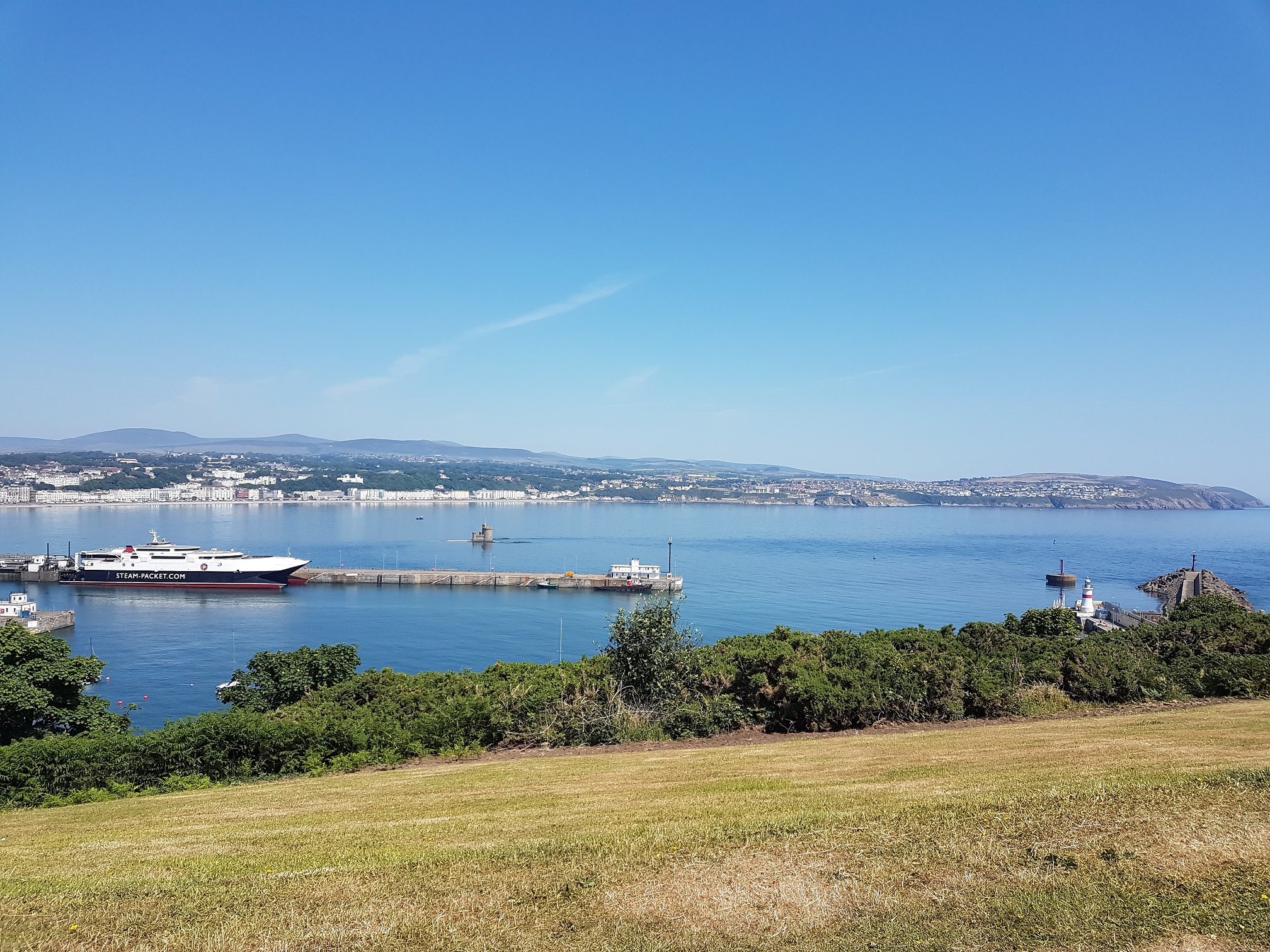 Looking out from the grass on a hill at the sea and coastline of a harbour with a ferry docked