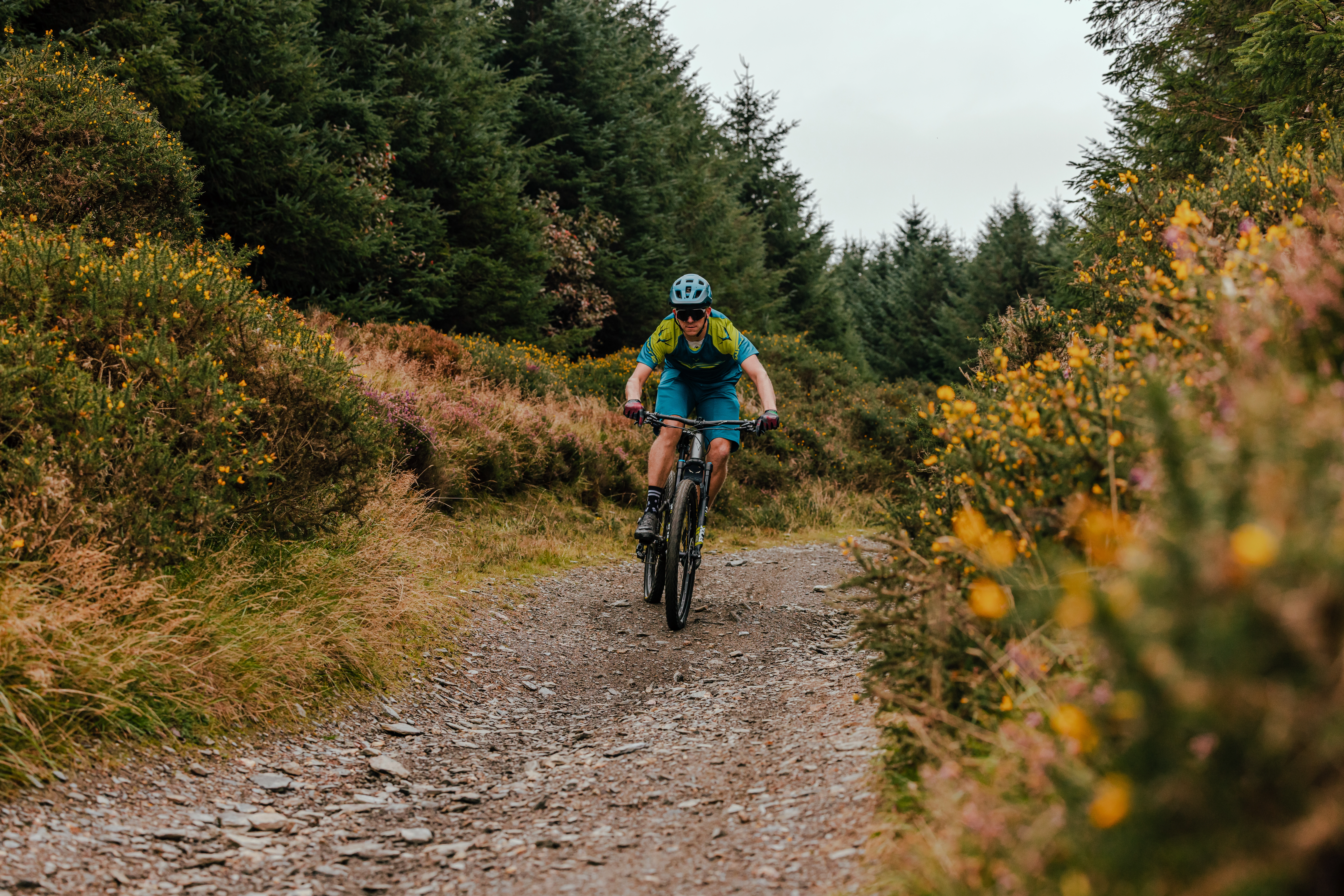 Person Mountain Biking down a bike trail 